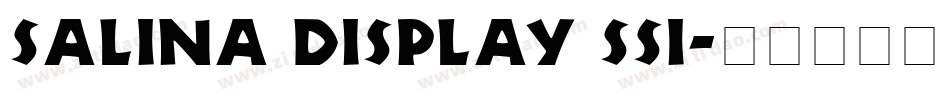 Salina Display SSi字体转换